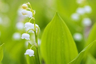 生日快乐！《最终幻想14》总监、制作人吉田直树迎来52岁生日